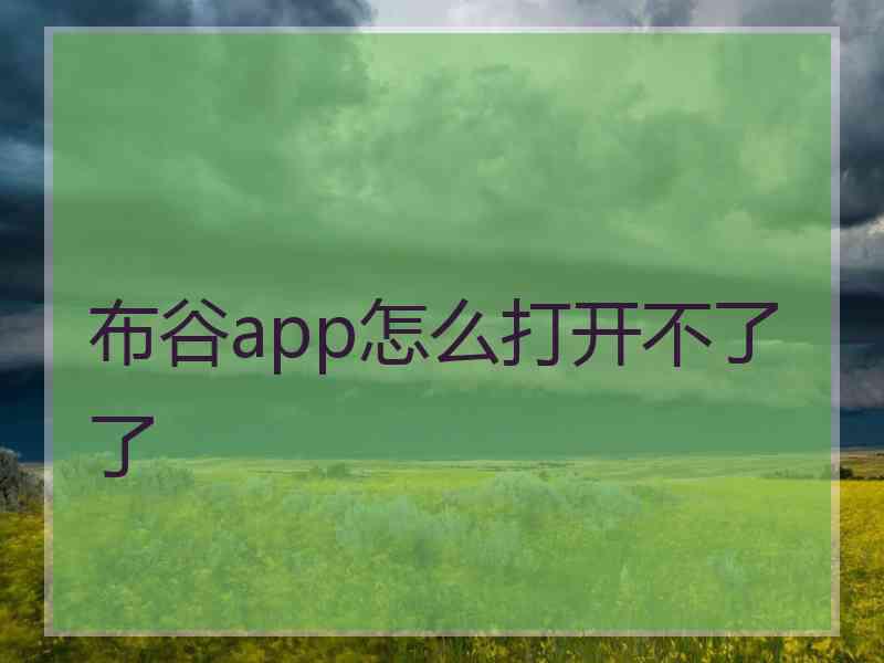 布谷app怎么打开不了了