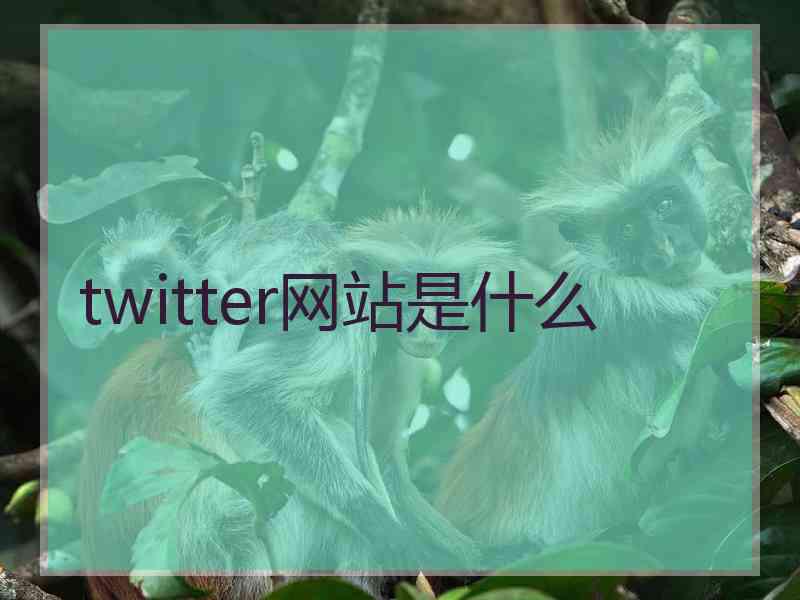 twitter网站是什么