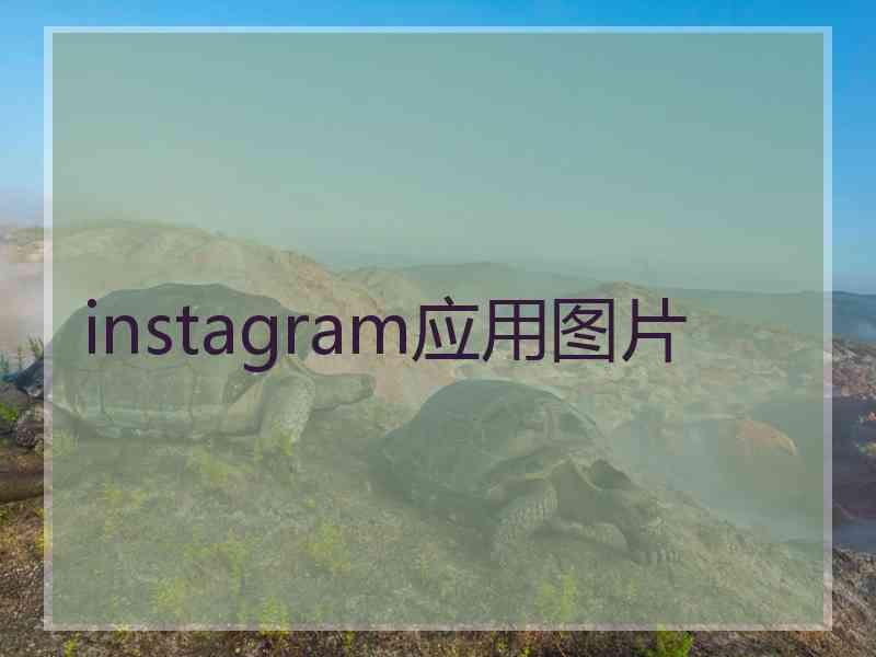 instagram应用图片