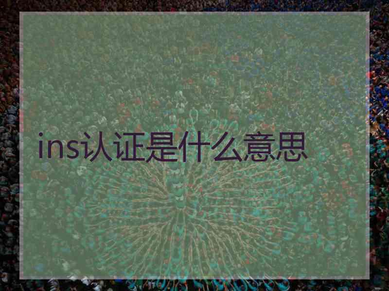 ins认证是什么意思